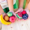 Best Olli Ella Tubbles - Sensory Stones - Fantastic Fruit